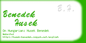 benedek husek business card